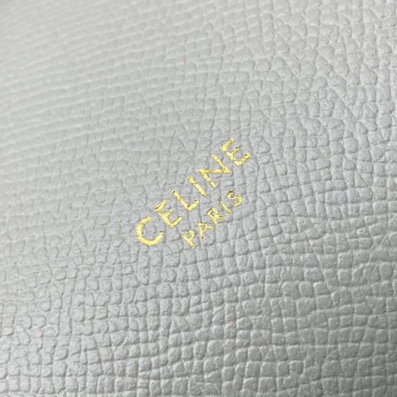 Ce**e belt nano bag in vert d'eau grained calfskin
